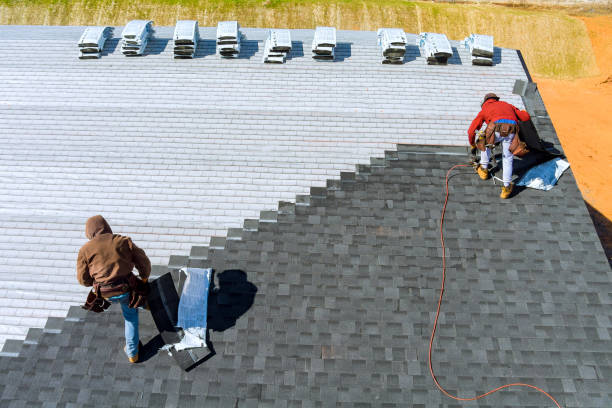 Professional Roofing Contractor in Albany, CA