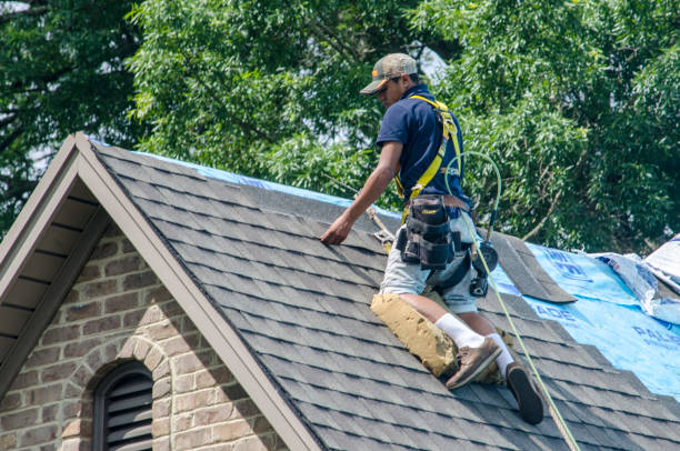 Best Roof Leak Repair  in Albany, CA